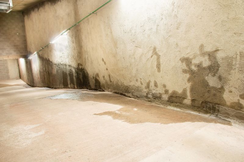 Wet Basement Repair in Sarasota, FL